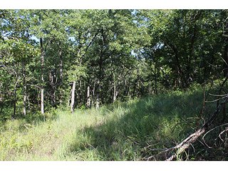 Property photo 24 - LAND AUCTION - 440+/- ACRES OFFERED IN 17 TRACTS IN OSAGE CO., OKLAHOMA